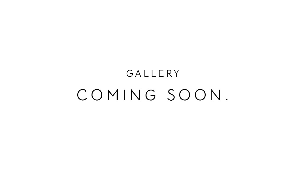 Gallery Coming Soon 7