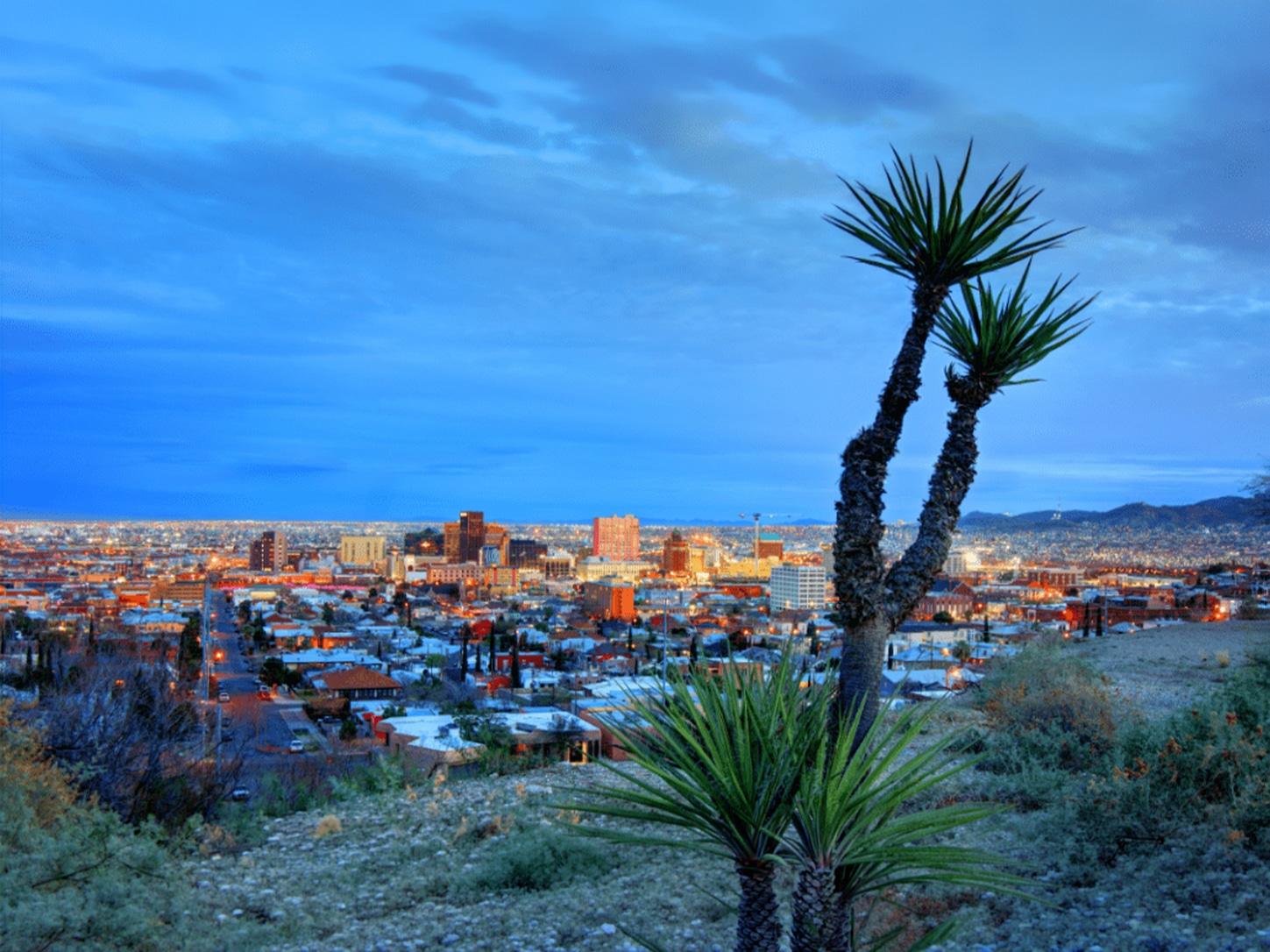 At dusk, city lights illuminate a desert metropolis nestled beneath a blue sky, with mountain silhouettes and distant buildings lining the horizon. In the foreground, a prominent yucca plant anchors the serene evening scene.